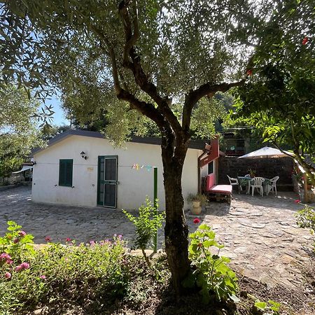 Casa Vacanze Alfano Ascea Bagian luar foto
