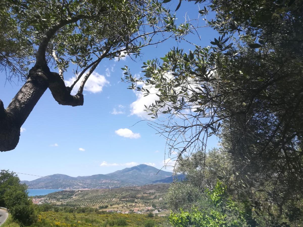 Casa Vacanze Alfano Ascea Bagian luar foto