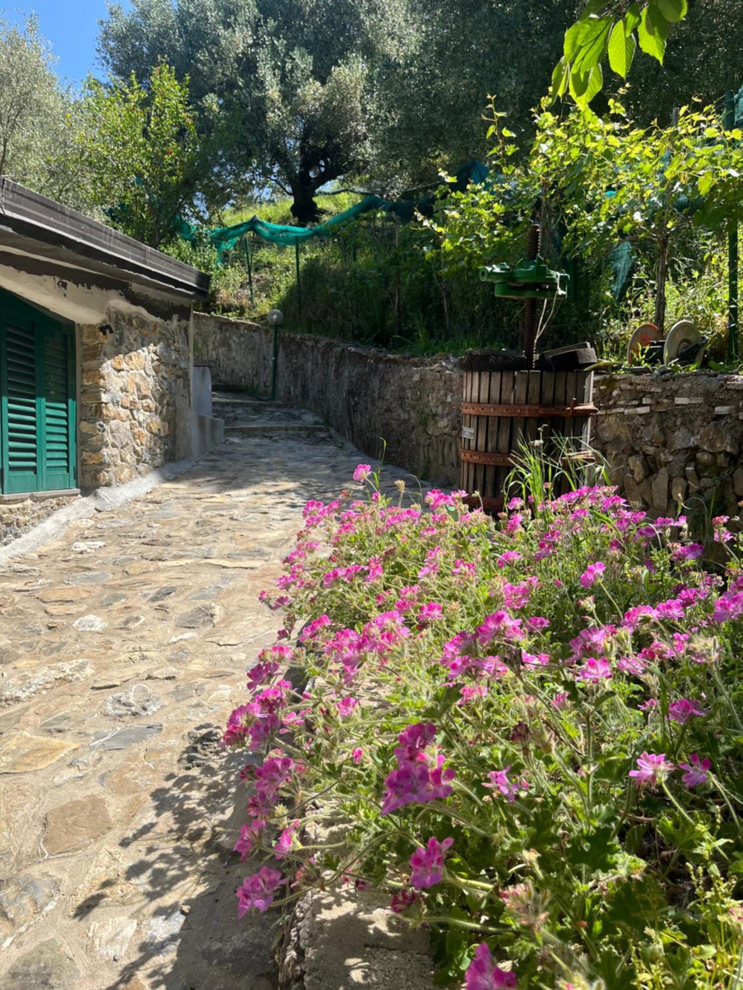 Casa Vacanze Alfano Ascea Bagian luar foto