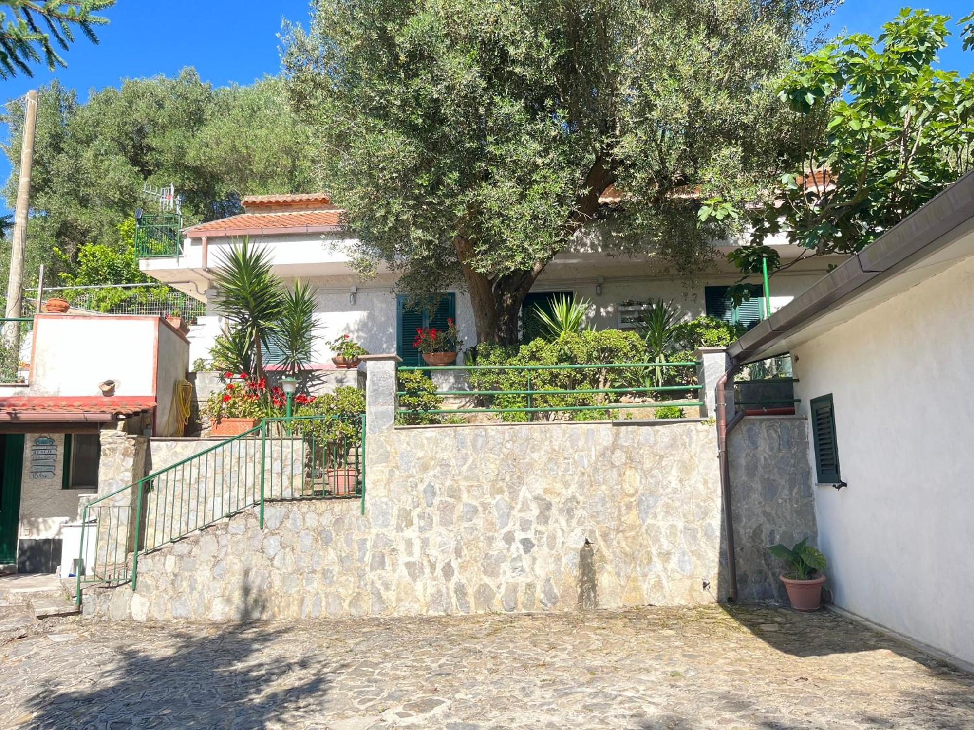 Casa Vacanze Alfano Ascea Bagian luar foto