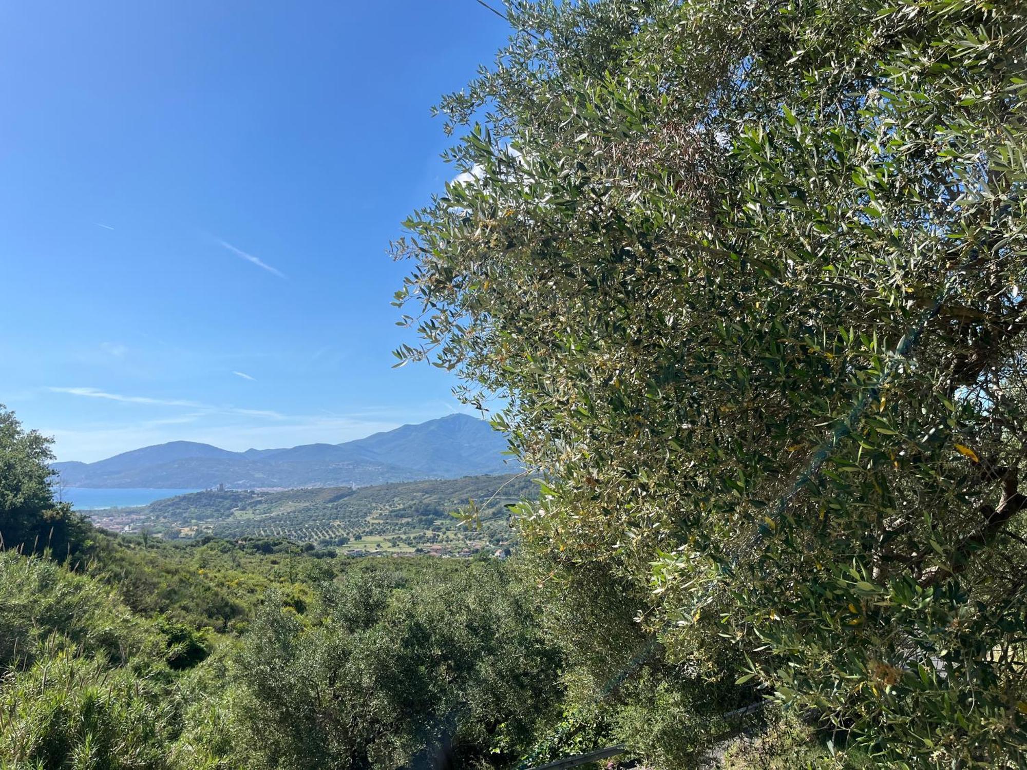 Casa Vacanze Alfano Ascea Bagian luar foto