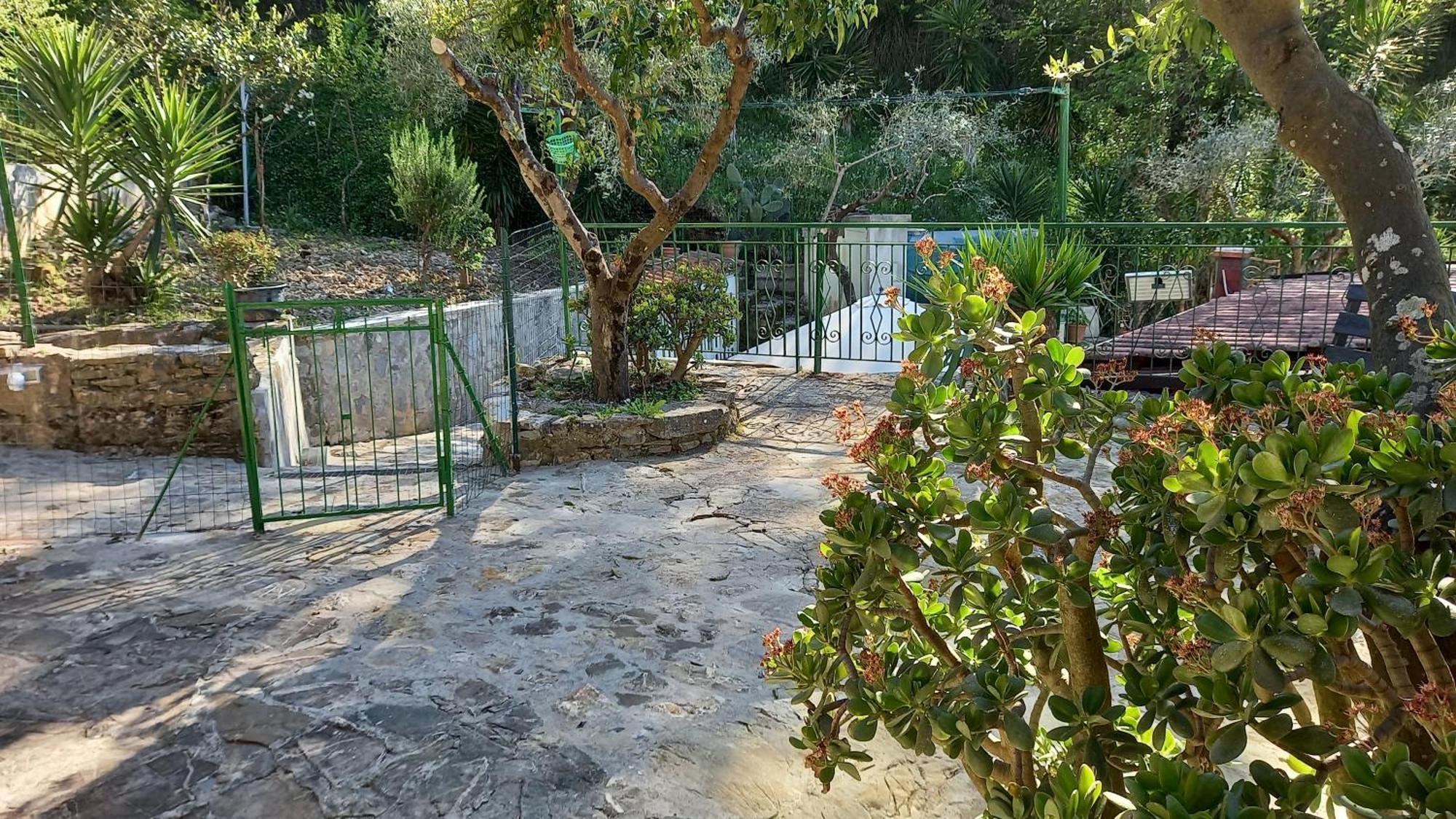 Casa Vacanze Alfano Ascea Ruang foto