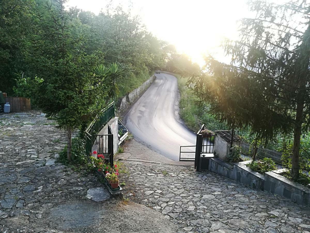 Casa Vacanze Alfano Ascea Bagian luar foto